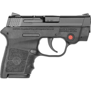 Smith & Wesson M&P Bodyguard Gun