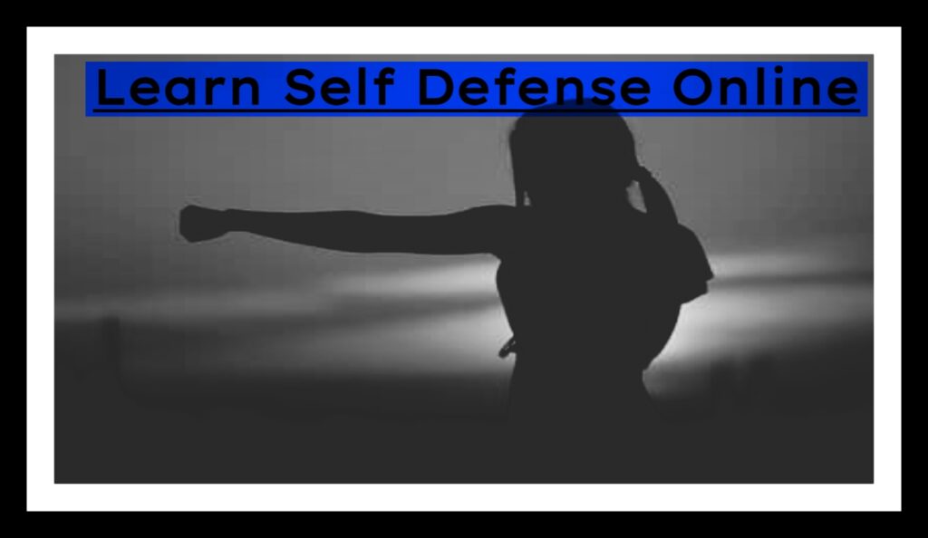 Can I Learn Self Defense Online