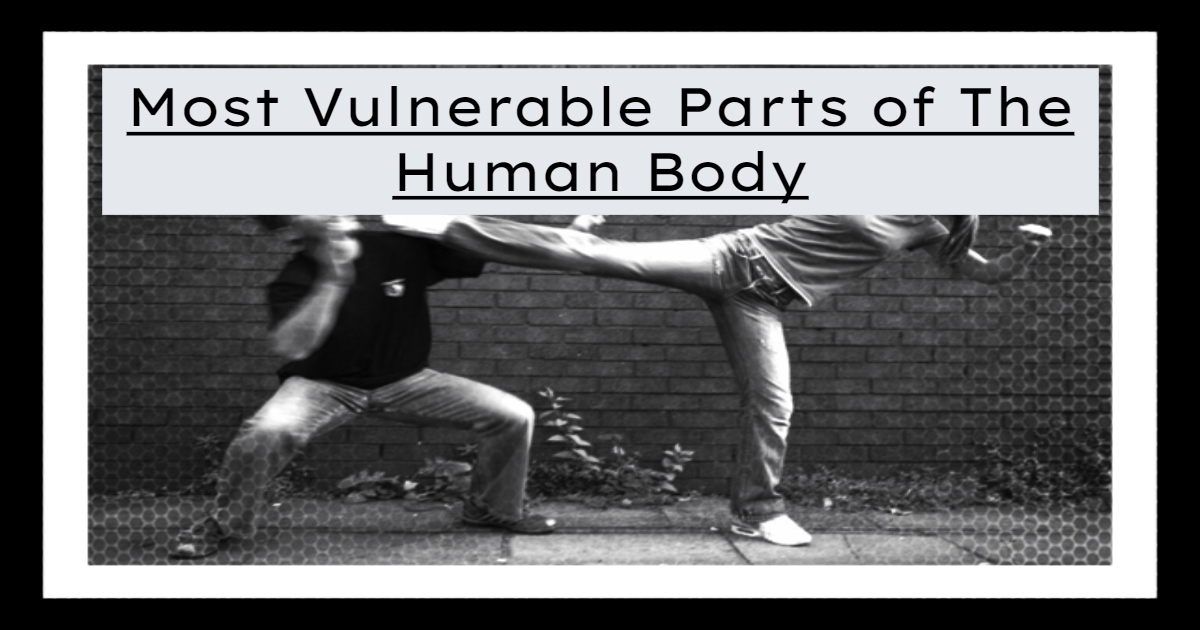 Most Vulnerable Parts of the Human Body