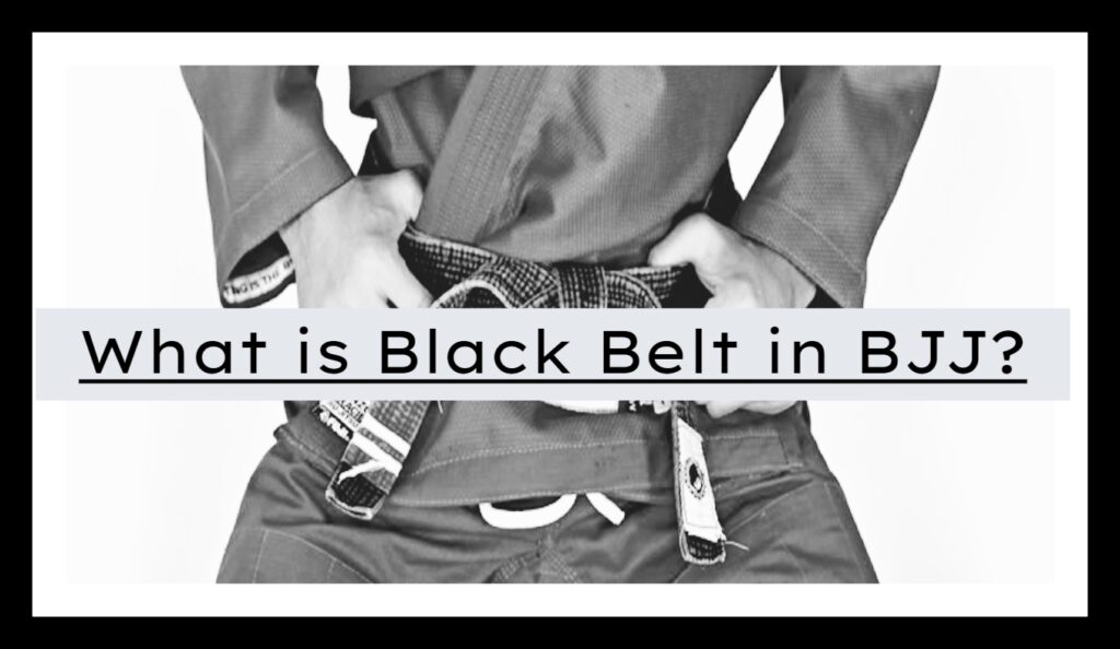 What is a Black Belt in BJJ?